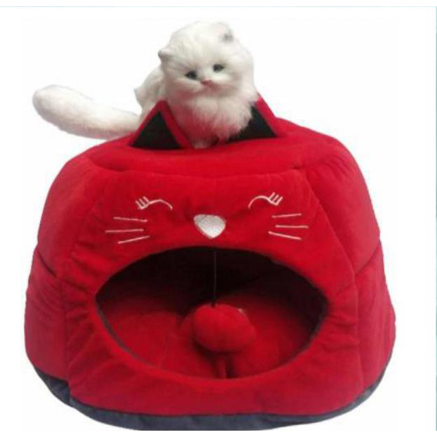 cat house and bed